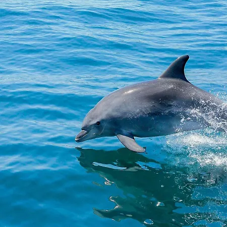 Luxury 1 Bedroom Apartment, Marina De Albufeira3 شقة البوفيرا